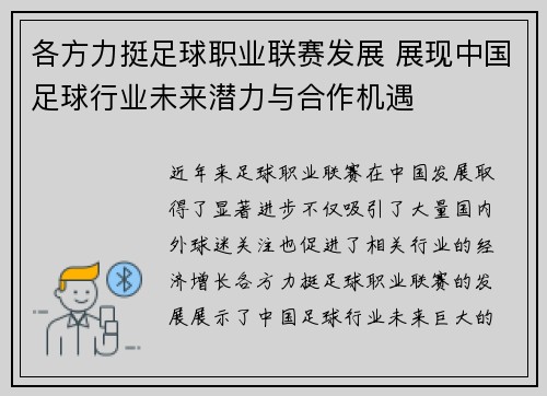 各方力挺足球职业联赛发展 展现中国足球行业未来潜力与合作机遇