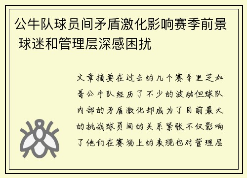公牛队球员间矛盾激化影响赛季前景 球迷和管理层深感困扰