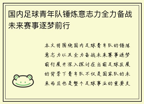 国内足球青年队锤炼意志力全力备战未来赛事逐梦前行
